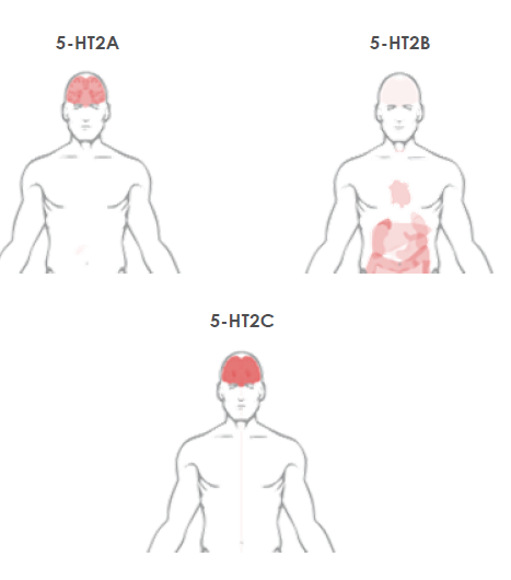 image (2).png